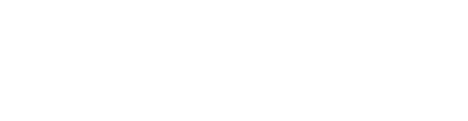 Libunews.id footer image